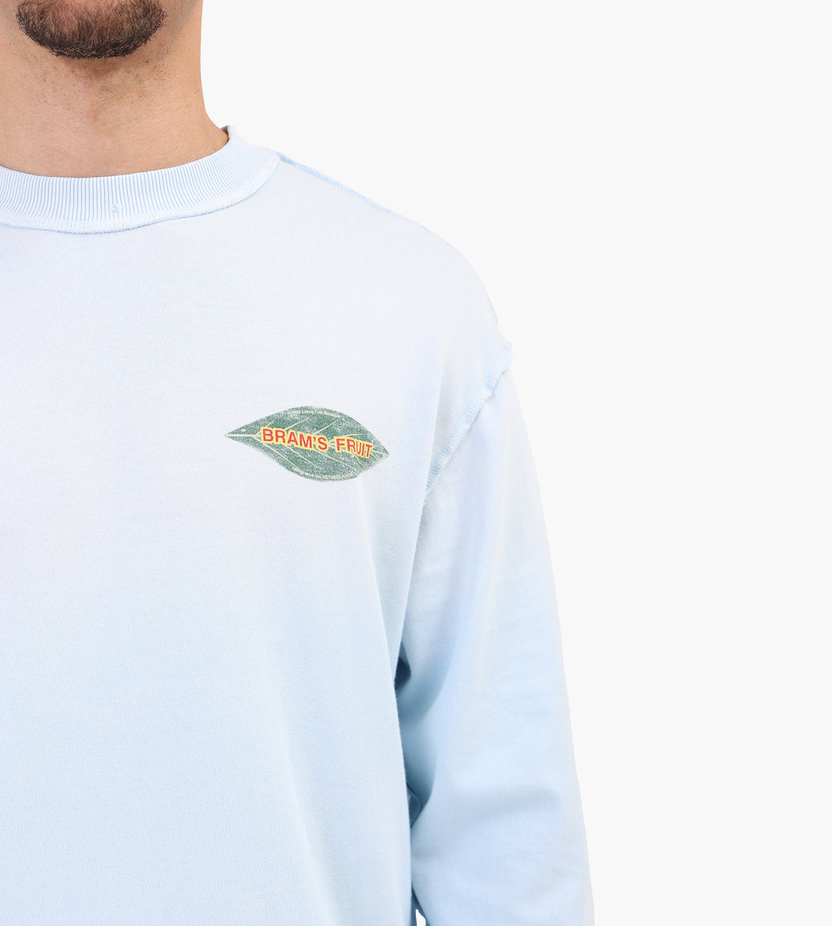 Bram's Fruit Distressed Leaf Longsleeve Blueberry Blue