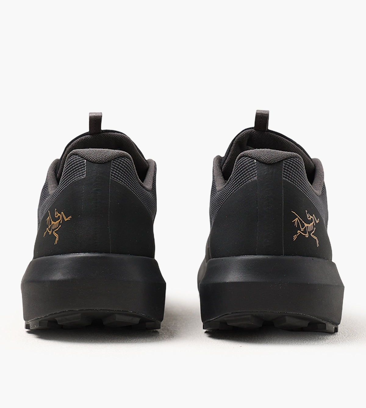 Arc'teryx Norvan LD 4 GTX Men Black Black