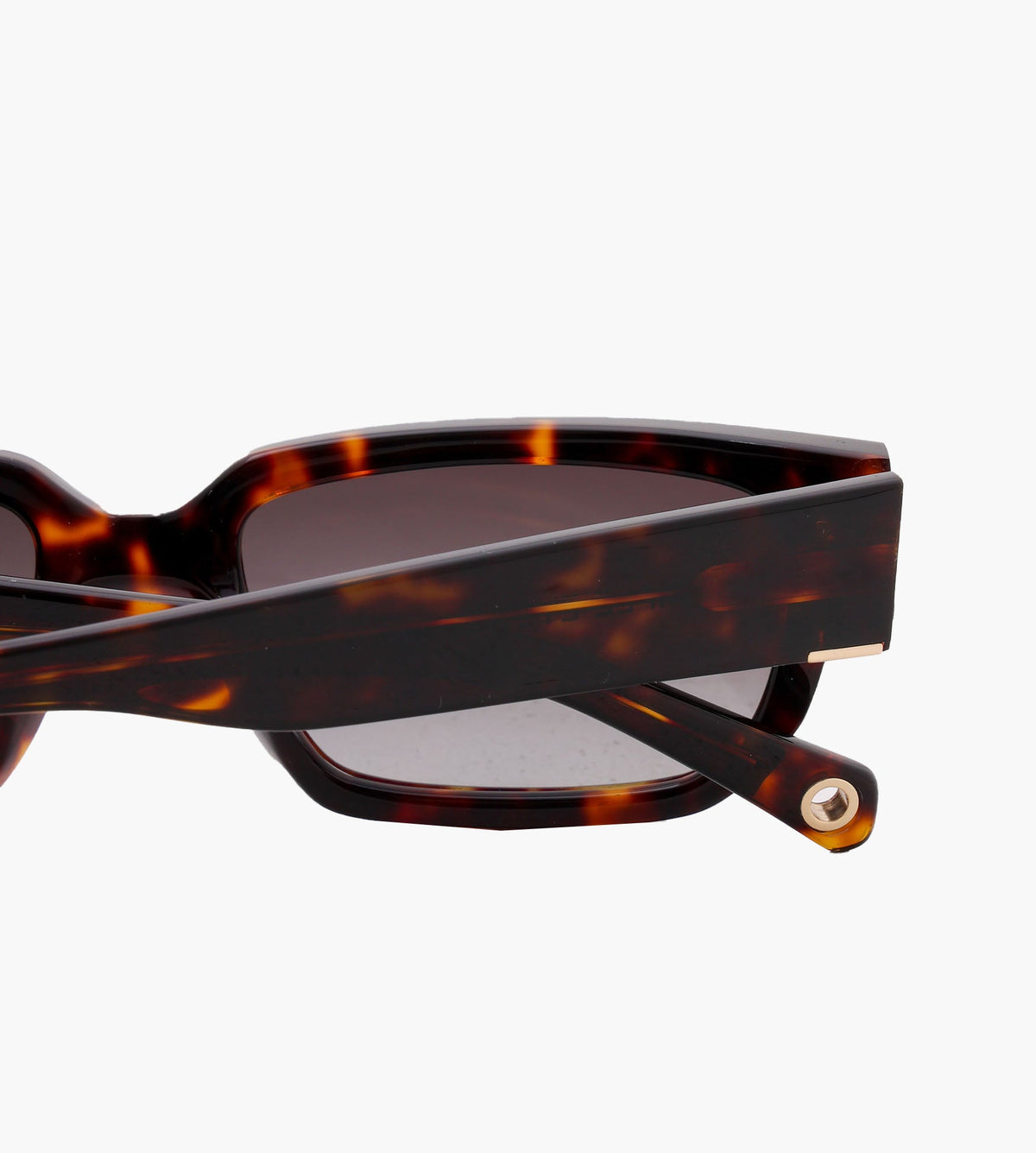 Baskèts | Sample_Eyewear 003 Speckle Tortoise